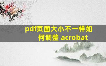 pdf页面大小不一样如何调整 acrobat